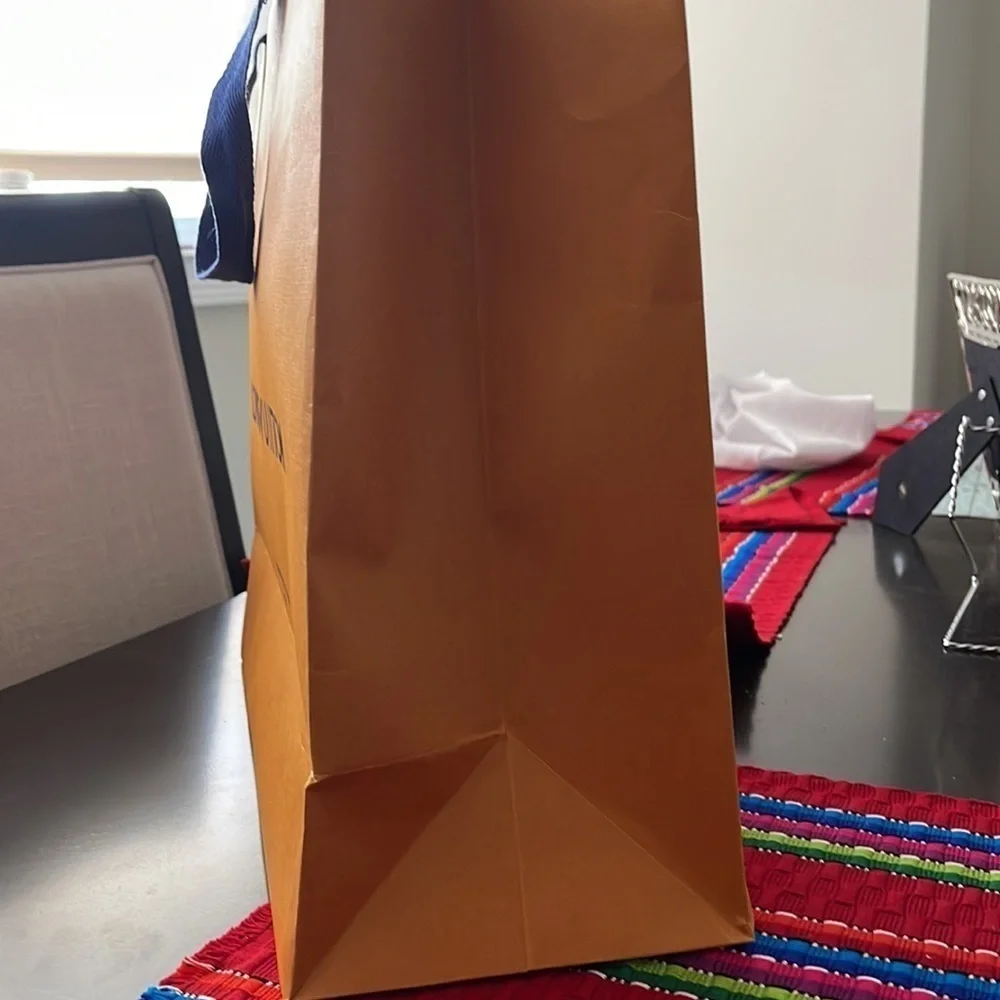 Louis Vuitton shopping bag empty